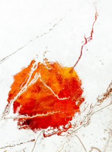 Frozen leaf