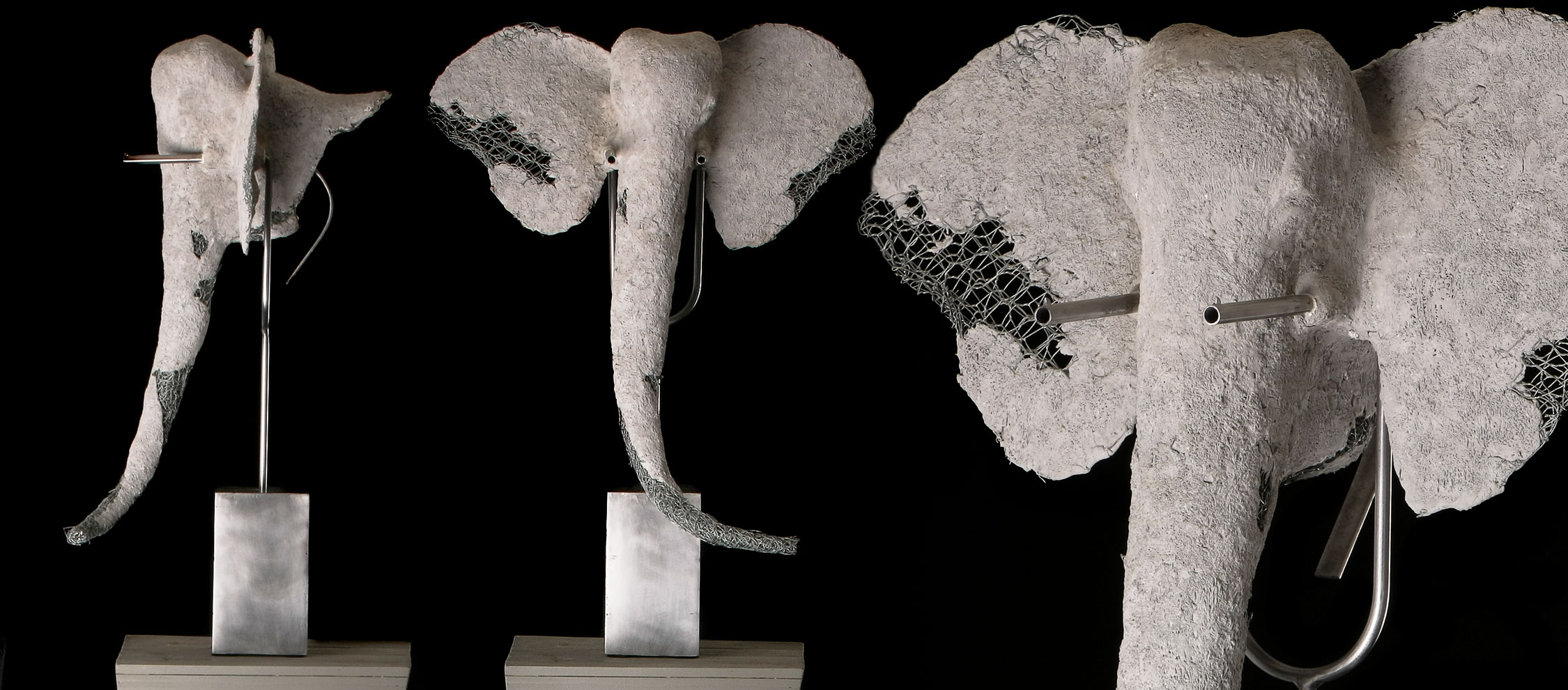 elefant